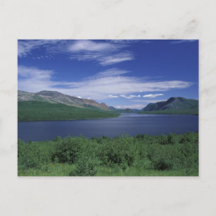 N.A., Canada, Newfoundland, Grose Morne Trout Postcard