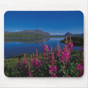 N.A., USA, Alaska, Alaska Range Common Mouse Mat