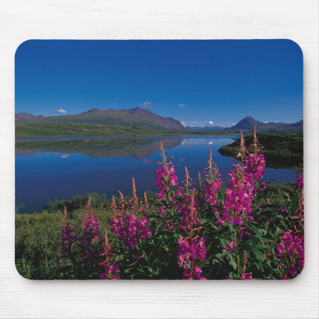 N.A., USA, Alaska, Alaska Range Common Mouse Mat (Front)