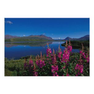 N.A., USA, Alaska, Alaska Range Common Photo Print