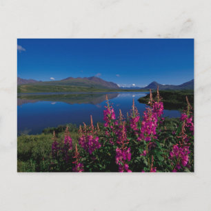 N.A., USA, Alaska, Alaska Range Common Postcard