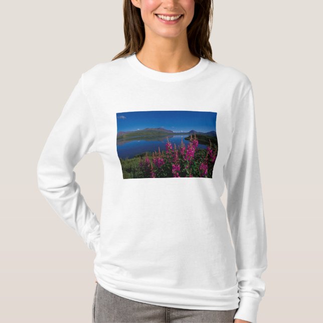 N.A., USA, Alaska, Alaska Range Common T-Shirt (Front)
