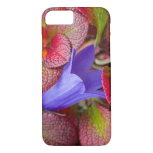 N.A., USA, Alaska.  Bluebell in the tundra in iPhone 8/7 Case