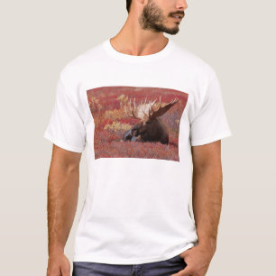 N.A., USA, Alaska, Denali National Park, Bull T-Shirt