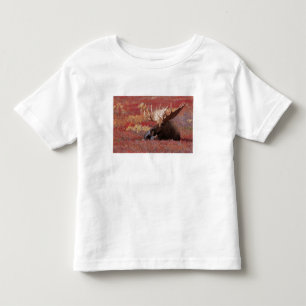 N.A., USA, Alaska, Denali National Park, Bull Toddler T-Shirt