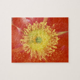 N.A., USA, Arizona, Casa Grande, NM, Desert Jigsaw Puzzle