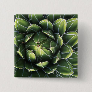 N.A., USA, Arizona, Tucson, Sonora Desert 15 Cm Square Badge
