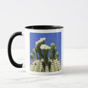 N.A., USA, Arizona, Tucson, Sonora Desert 2 Mug