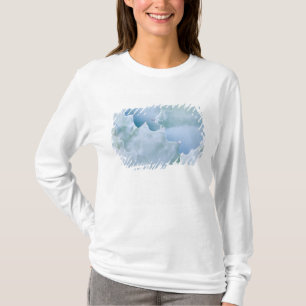 N.A., USA, Arizona, Tucson, Sonora Desert 2 T-Shirt
