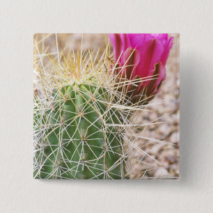 N.A., USA, AZ, Phoenix, Desert Botanical 15 Cm Square Badge