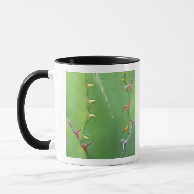 N.A., USA, AZ, Phoenix, Desert Botanical 2 Mug (Left)