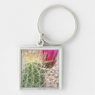 N.A., USA, AZ, Phoenix, Desert Botanical Key Ring