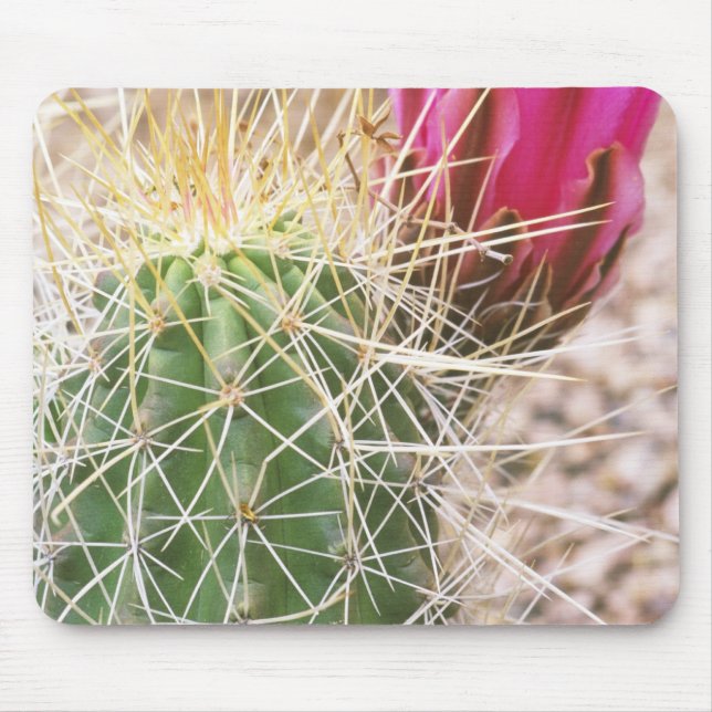 N.A., USA, AZ, Phoenix, Desert Botanical Mouse Mat (Front)