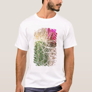 N.A., USA, AZ, Phoenix, Desert Botanical T-Shirt