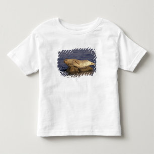 N.A., USA, California, Monterey.  Harbour Seal Toddler T-Shirt