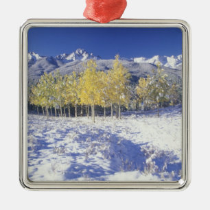 N.A., USA, Colorado, San Juan Mts Fresh snow Metal Tree Decoration