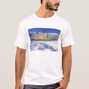 N.A., USA, Colorado, San Juan Mts Fresh snow T-Shirt
