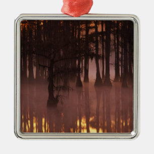 N.A., USA, Georgia, George Smith State Park. Metal Tree Decoration