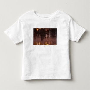 N.A., USA, Georgia, George Smith State Park. Toddler T-Shirt