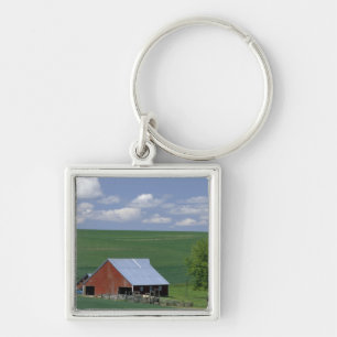 N.A., USA, Idaho, Latah county near Genesee. Key Ring