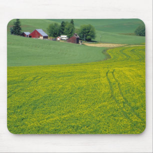 N.A., USA, Idaho, Latah County, near Genesee. Mouse Mat