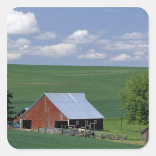 N.A., USA, Idaho, Latah county near Genesee. Square Sticker