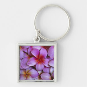 N.A., USA, Maui, Hawaii. Pink Plumeria blossoms. Key Ring