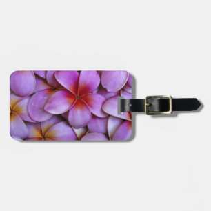 N.A., USA, Maui, Hawaii. Pink Plumeria blossoms. Luggage Tag
