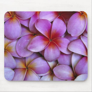 N.A., USA, Maui, Hawaii. Pink Plumeria blossoms. Mouse Mat