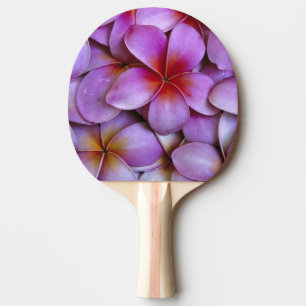 N.A., USA, Maui, Hawaii. Pink Plumeria blossoms. Ping Pong Paddle