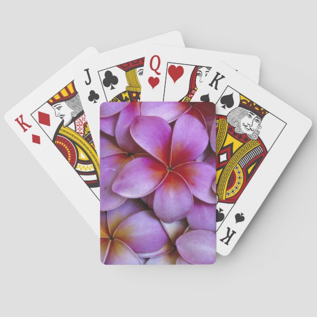 N.A., USA, Maui, Hawaii. Pink Plumeria blossoms. Playing Cards (Back)