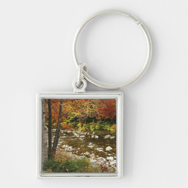 N.A., USA, New Hampshire, White Mountains, Key Ring (Front)