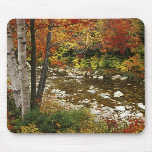 N.A., USA, New Hampshire, White Mountains, Mouse Mat