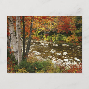 N.A., USA, New Hampshire, White Mountains, Postcard