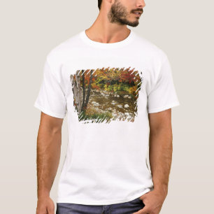N.A., USA, New Hampshire, White Mountains, T-Shirt