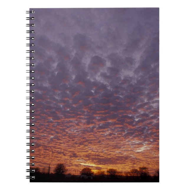 N.A., USA, New Mexico, near Las Cruces, Notebook (Front)