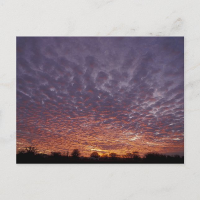 N.A., USA, New Mexico, near Las Cruces, Postcard (Front)