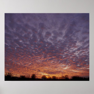 N.A., USA, New Mexico, near Las Cruces, Poster