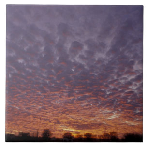 N.A., USA, New Mexico, near Las Cruces, Tile