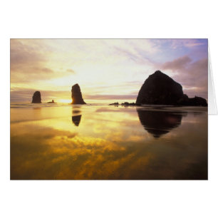 N.A., USA, Oregon, Cannon Beach Sunset with