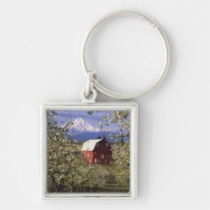 N.A., USA, Oregon, Hood River County. Red Key Ring