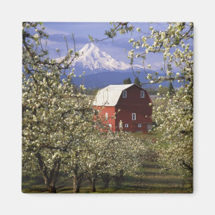 N.A., USA, Oregon, Hood River County. Red Magnet