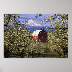 N.A., USA, Oregon, Hood River County. Red Poster