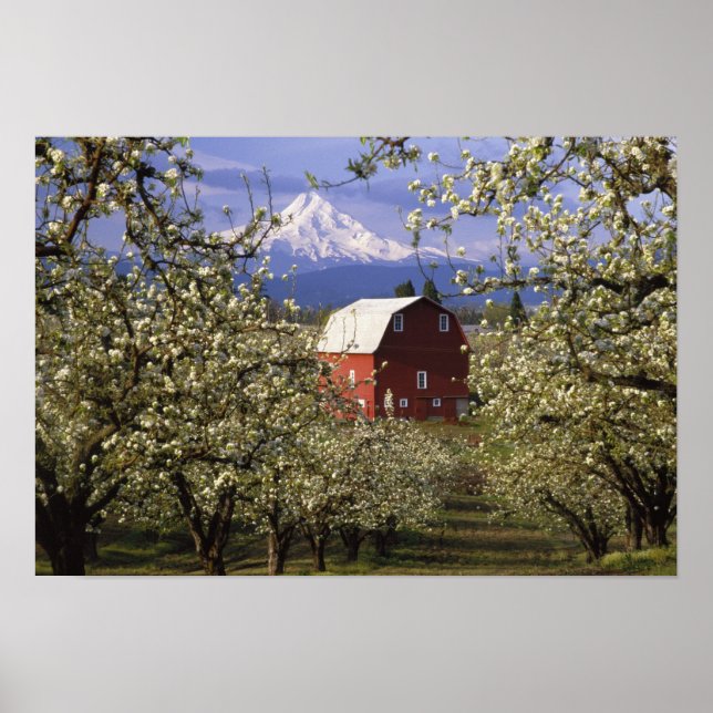 N.A., USA, Oregon, Hood River County. Red Poster (Front)