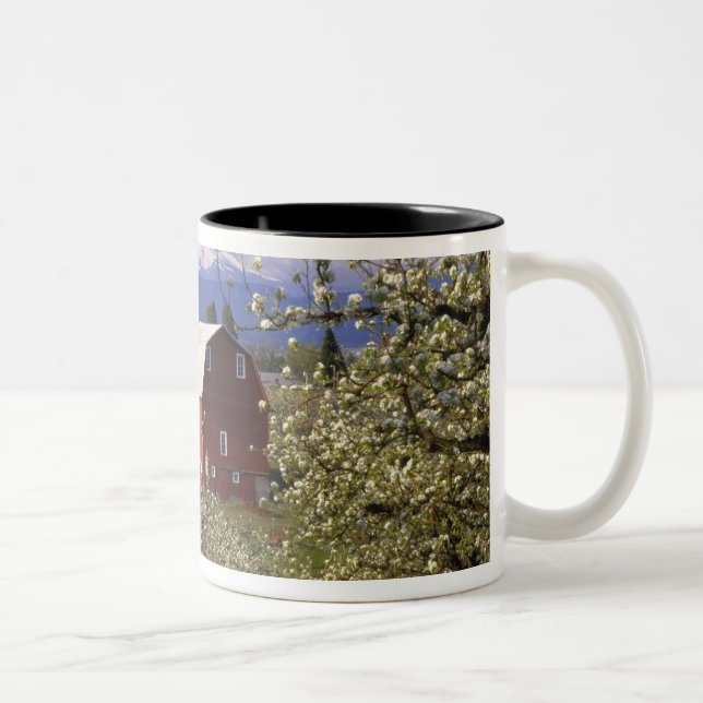 N.A., USA, Oregon, Hood River County. Red Two-Tone Coffee Mug (Right)