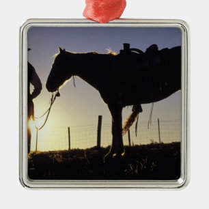 N.A., USA, Oregon, Seneca, Ponderosa Ranch, Metal Tree Decoration