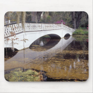 N.A., USA, South Carolina, Charleston.  Magnolia Mouse Mat