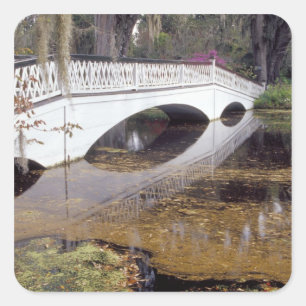 N.A., USA, South Carolina, Charleston.  Magnolia Square Sticker