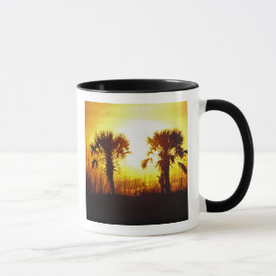 N.A., USA, South Carolina, Charleston. Sunset Mug