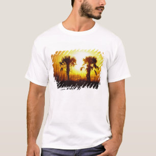 N.A., USA, South Carolina, Charleston. Sunset T-Shirt
